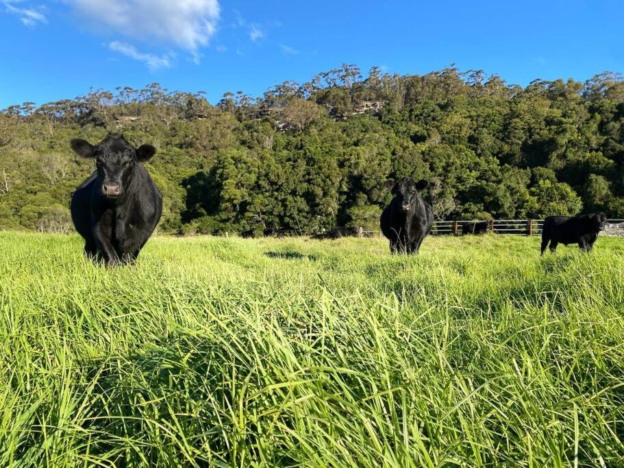 Holiday home 100 Acres Of Mountain Paradise To Yourself